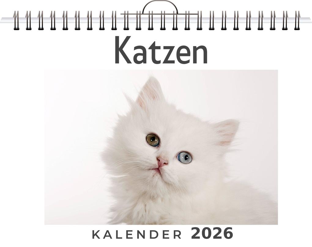 Katzen