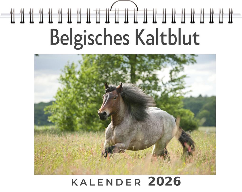 Belgisches Kaltblut