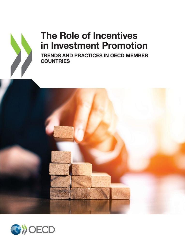 The Role of Incentives in Investment Promotion