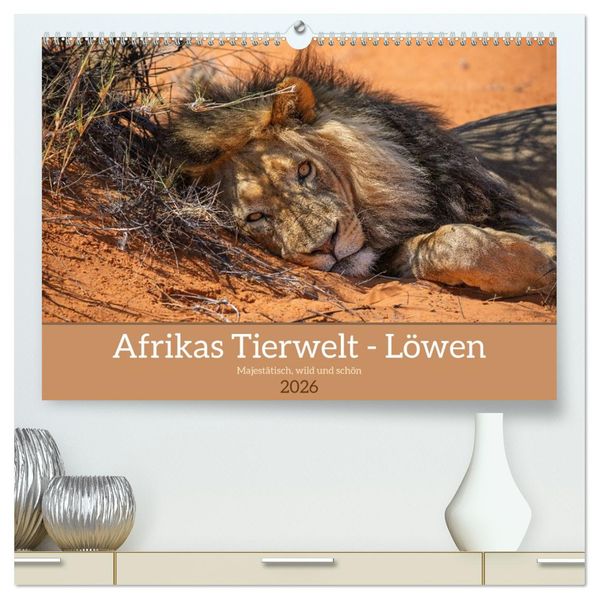 Afrikas Tierwelt - Löwen (hochwertiger Premium Wandkalender 2026 DIN A2 quer) Kunstdruck in Hochglanz