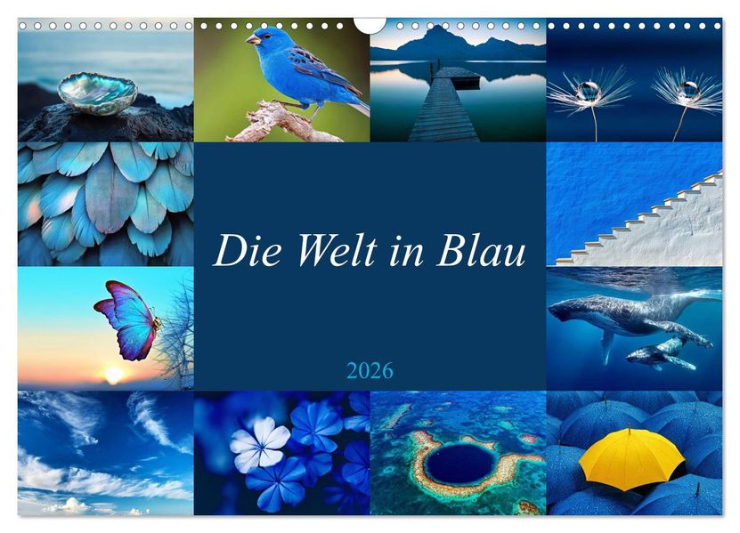 Die Welt in Blau (Wandkalender 2026 DIN A3 quer) CALVENDO Monatskalender