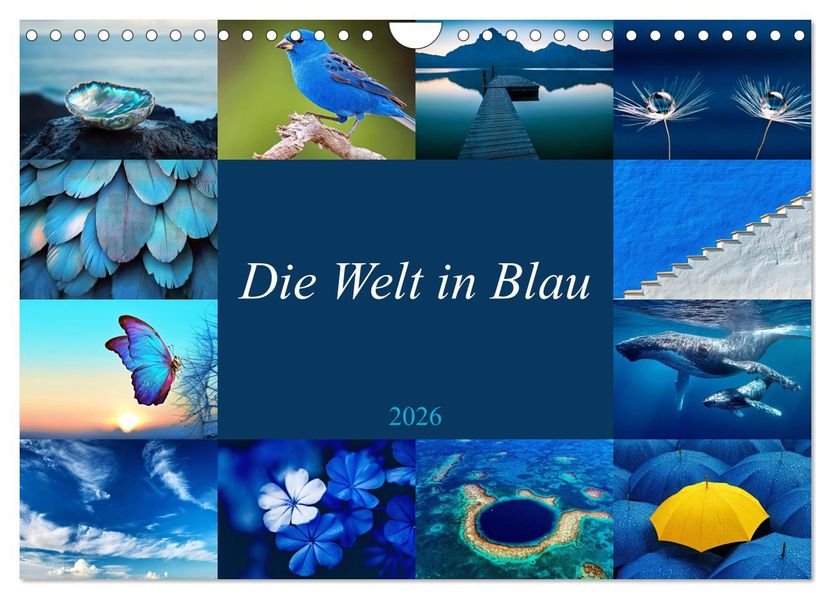 Die Welt in Blau (Wandkalender 2026 DIN A4 quer) CALVENDO Monatskalender