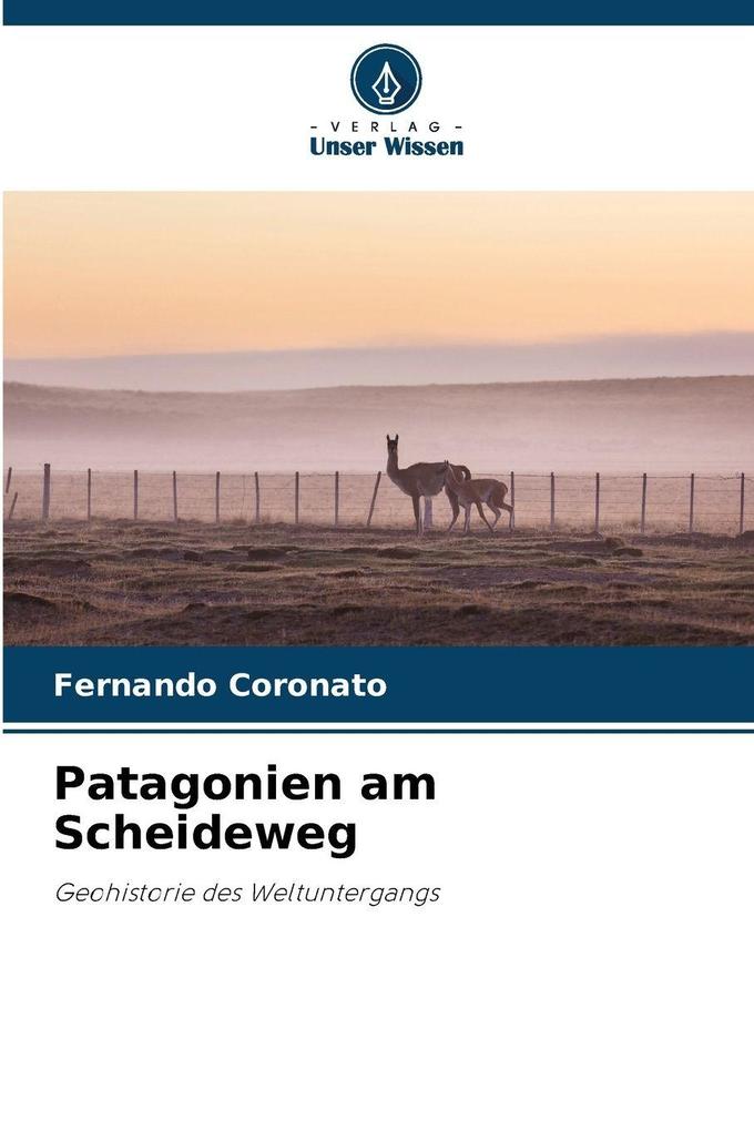 Patagonien am Scheideweg