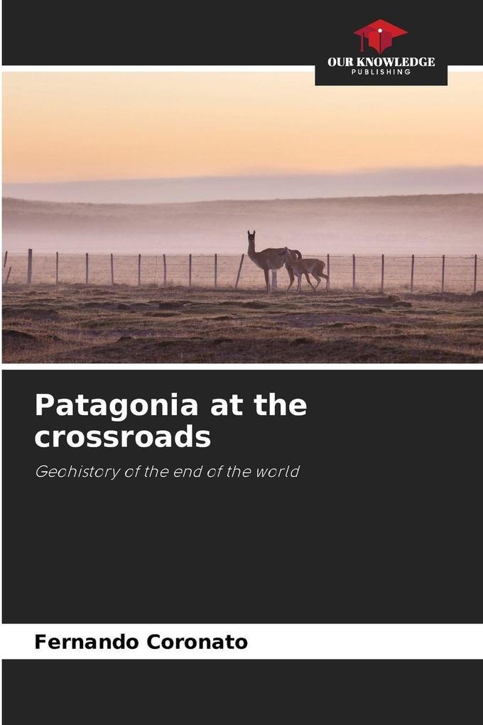 Patagonia at the crossroads