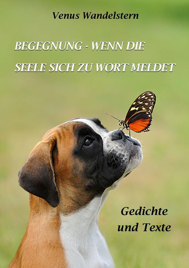 Begegnung - wenn die Seele sich zu Wort meldet