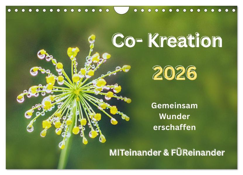 Co-Kreation Gemeinsam Wunder erschaffen (Wandkalender 2026 DIN A4 quer) CALVENDO Monatskalender