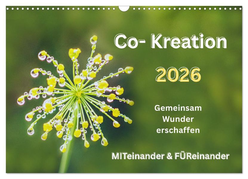 Co-Kreation Gemeinsam Wunder erschaffen (Wandkalender 2026 DIN A3 quer) CALVENDO Monatskalender