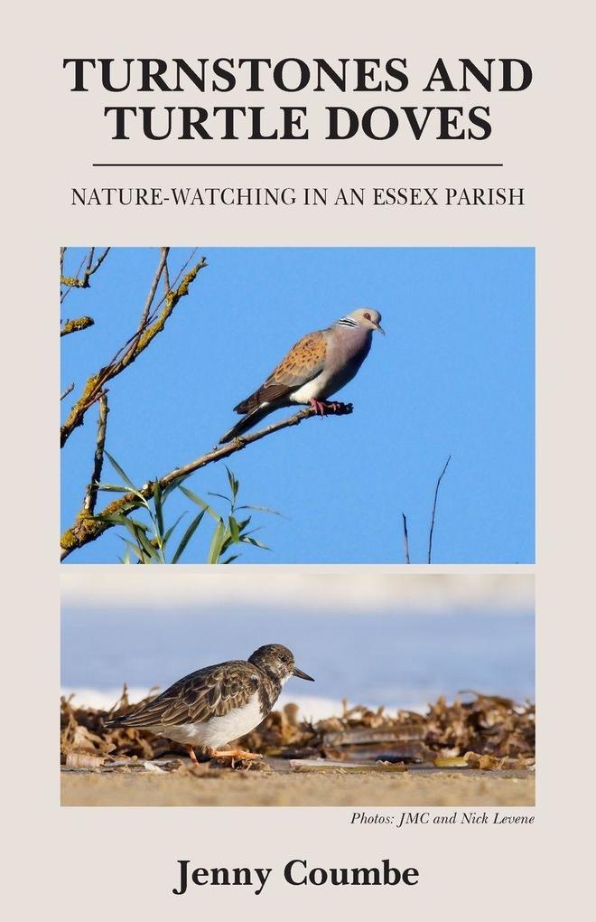 Turnstones and Turtle Doves