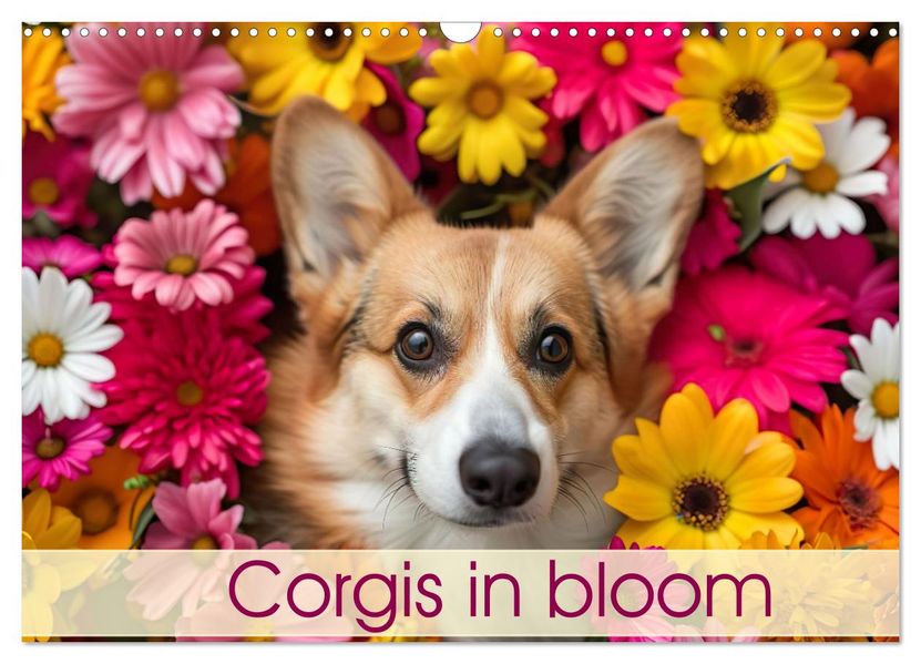 Corgis in Bloom (Wall Calendar 2026 DIN A3 landscape) CALVENDO 12 Month Wall Calendar