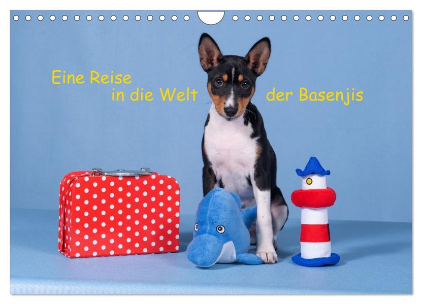 Eine Reise in die Welt der Basenjis (Wandkalender 2026 DIN A4 quer) CALVENDO Monatskalender