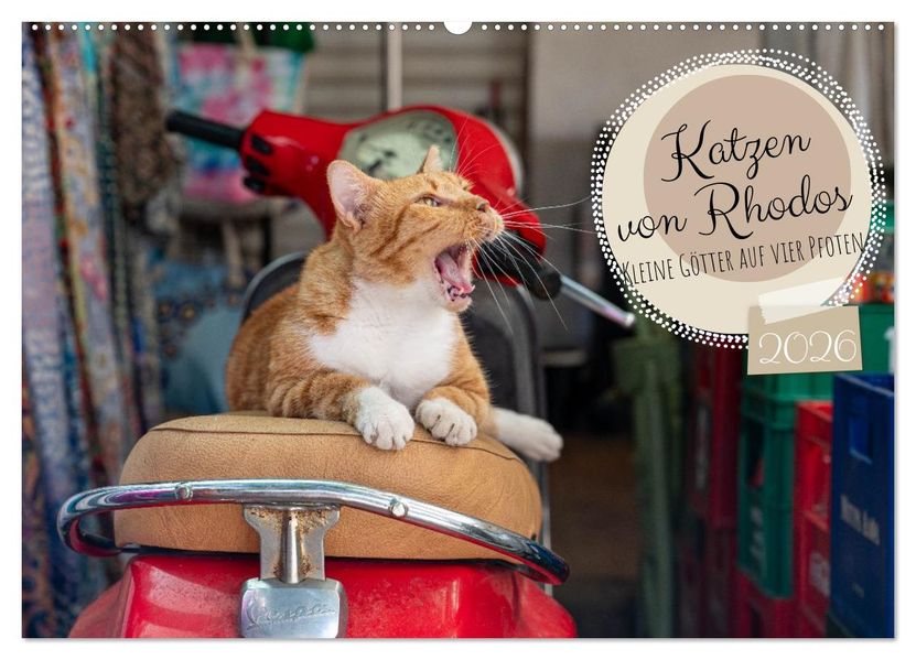 Katzen von Rhodos - Kleine Götter auf vier Pfoten (Wandkalender 2026 DIN A2 quer) CALVENDO Monatskalender