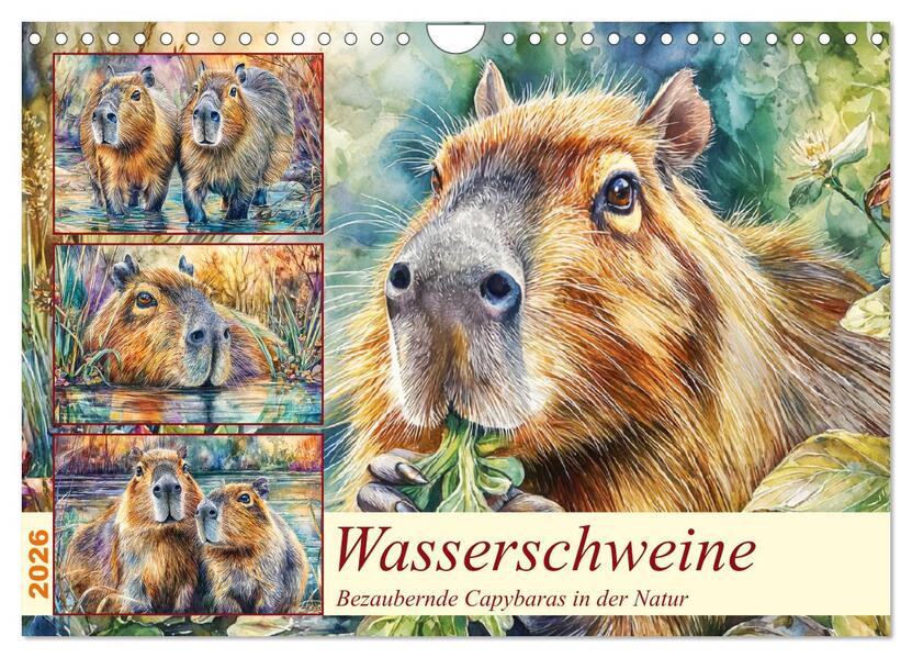 Wasserschweine. Bezaubernde Capybaras in der Natur (Wandkalender 2026 DIN A4 quer) CALVENDO Monatskalender