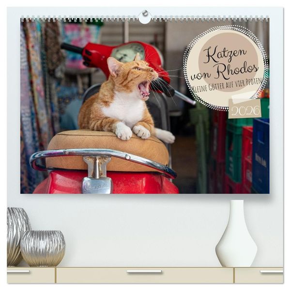 Katzen von Rhodos - Kleine Götter auf vier Pfoten (hochwertiger Premium Wandkalender 2026 DIN A2 quer) Kunstdruck in Hochglanz