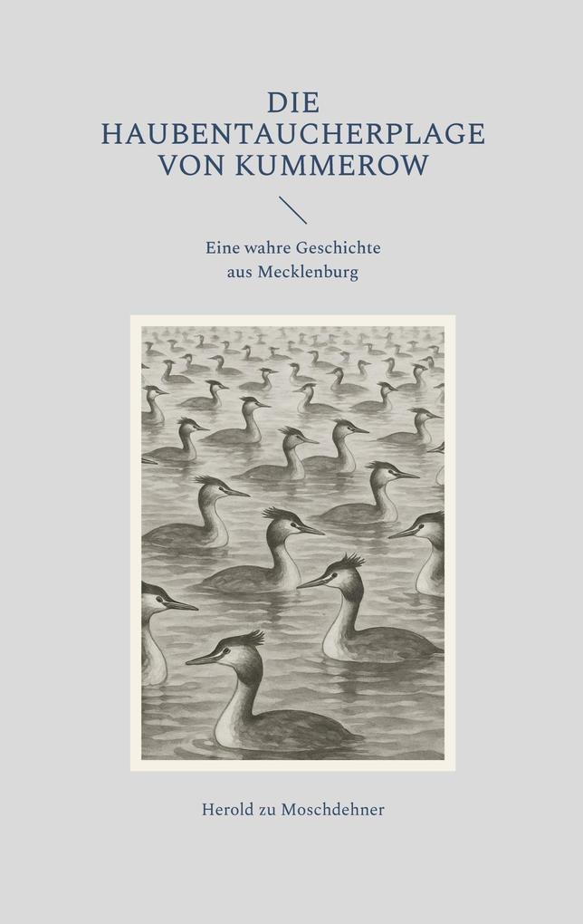 Die Haubentaucherplage von Kummerow