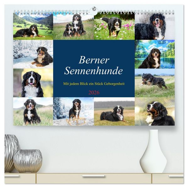 Berner Sennenhunde - Mit jedem Blick ein Stück Geborgenheit (hochwertiger Premium Wandkalender 2026 DIN A2 quer) Kunstdruck in Hochglanz