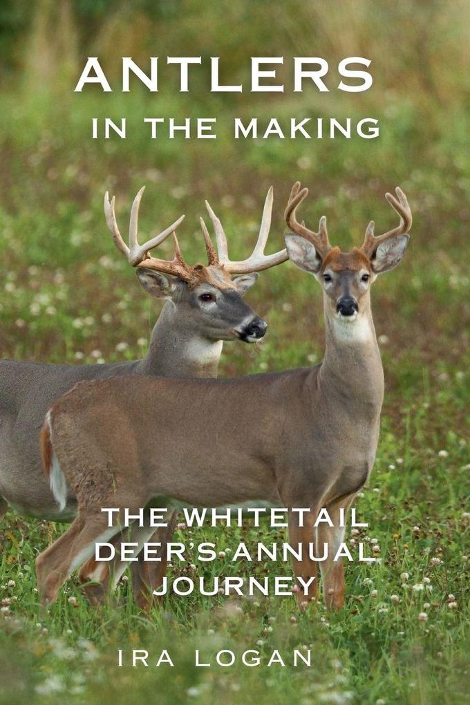Antlers in the Making
