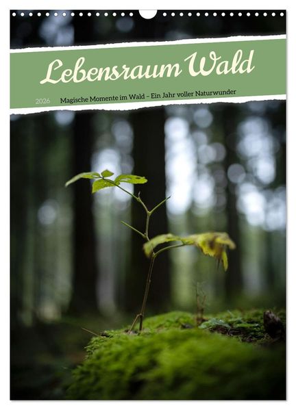 Lebensraum Wald (Wandkalender 2026 DIN A3 hoch) CALVENDO Monatskalender