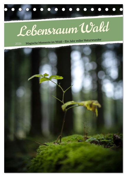 Lebensraum Wald (Tischkalender 2026 DIN A5 hoch) CALVENDO Monatskalender