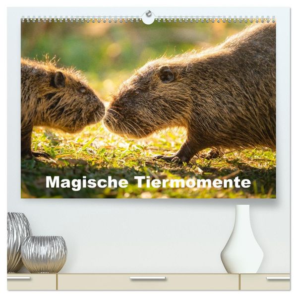 Magische Tiermomente (hochwertiger Premium Wandkalender 2026 DIN A2 quer) Kunstdruck in Hochglanz