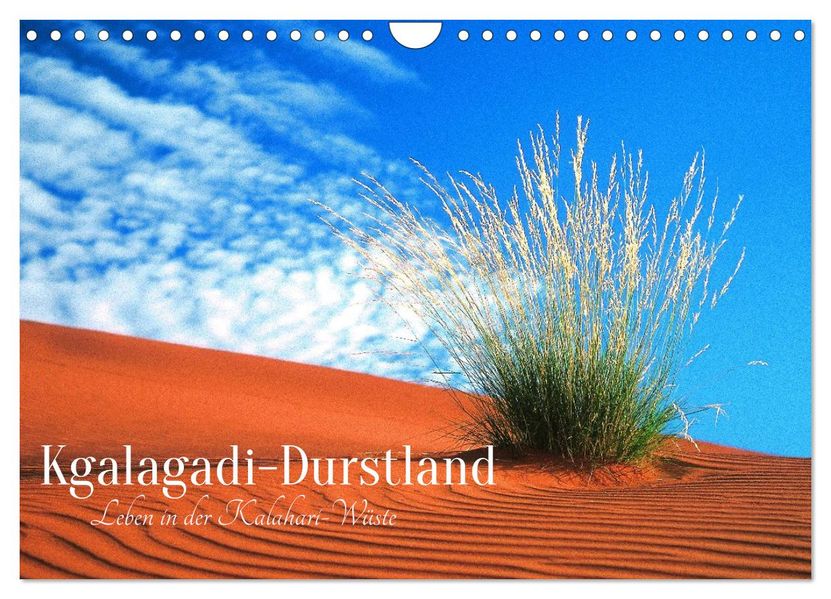 Kgalagadi-Durstland (Wandkalender 2026 DIN A4 quer) CALVENDO Monatskalender