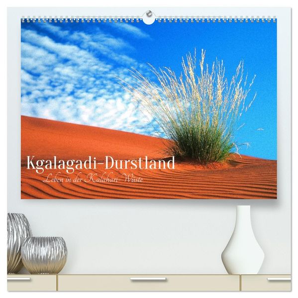 Kgalagadi-Durstland (hochwertiger Premium Wandkalender 2026 DIN A2 quer) Kunstdruck in Hochglanz