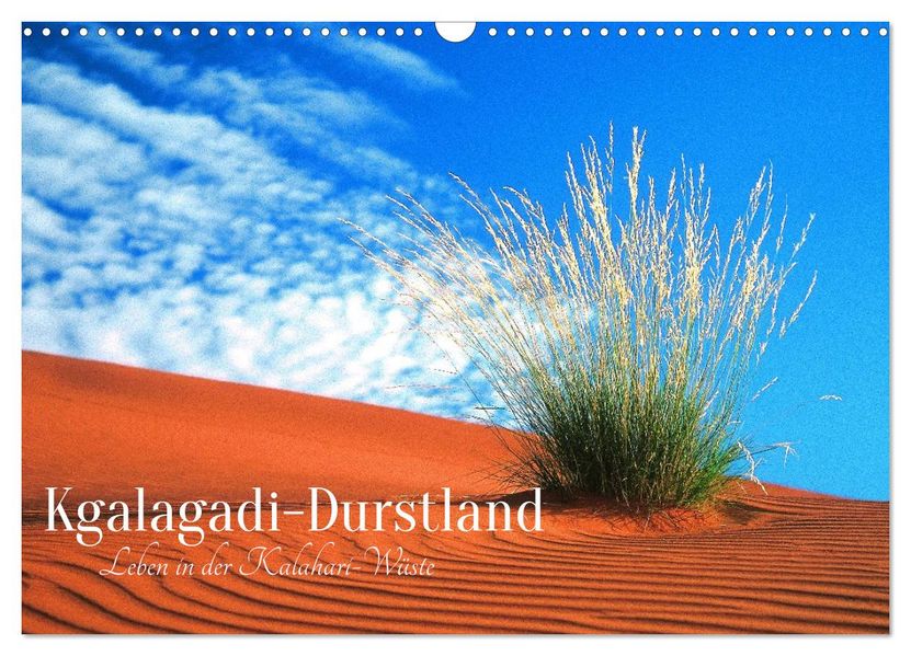 Kgalagadi-Durstland (Wandkalender 2026 DIN A3 quer) CALVENDO Monatskalender