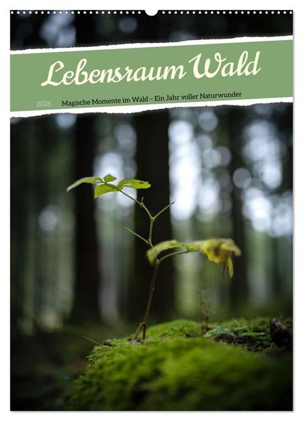 Lebensraum Wald (Wandkalender 2026 DIN A2 hoch) CALVENDO Monatskalender