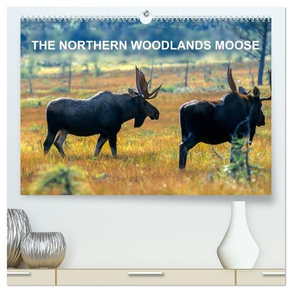 THE NORTHERN WOODLANDS MOOSE (High Quality Premium Wall Calendar 2026 DIN A2 landscape)CALVENDO 12 Month Wall Calendar