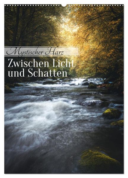 Mystischer Harz - Zwischen Licht und Schatten (Wandkalender 2026 DIN A2 hoch) CALVENDO Monatskalender