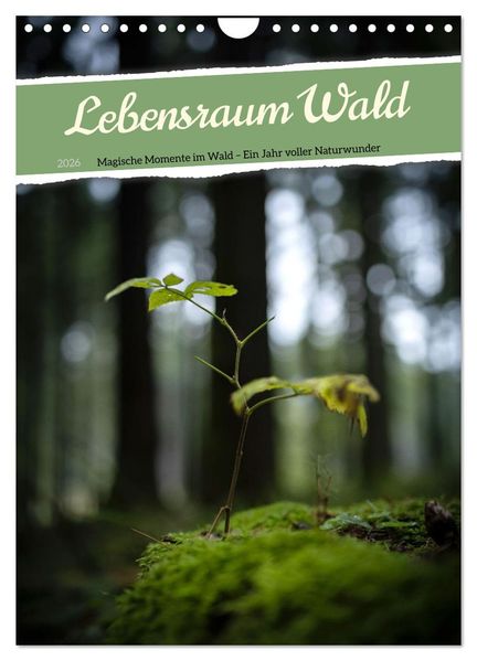 Lebensraum Wald (Wandkalender 2026 DIN A4 hoch) CALVENDO Monatskalender