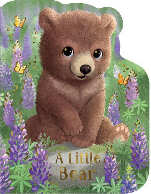 A Little Bear