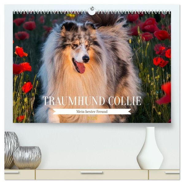 Traumhund Collie - Mein bester Freund (hochwertiger Premium Wandkalender 2026 DIN A2 quer) Kunstdruck in Hochglanz