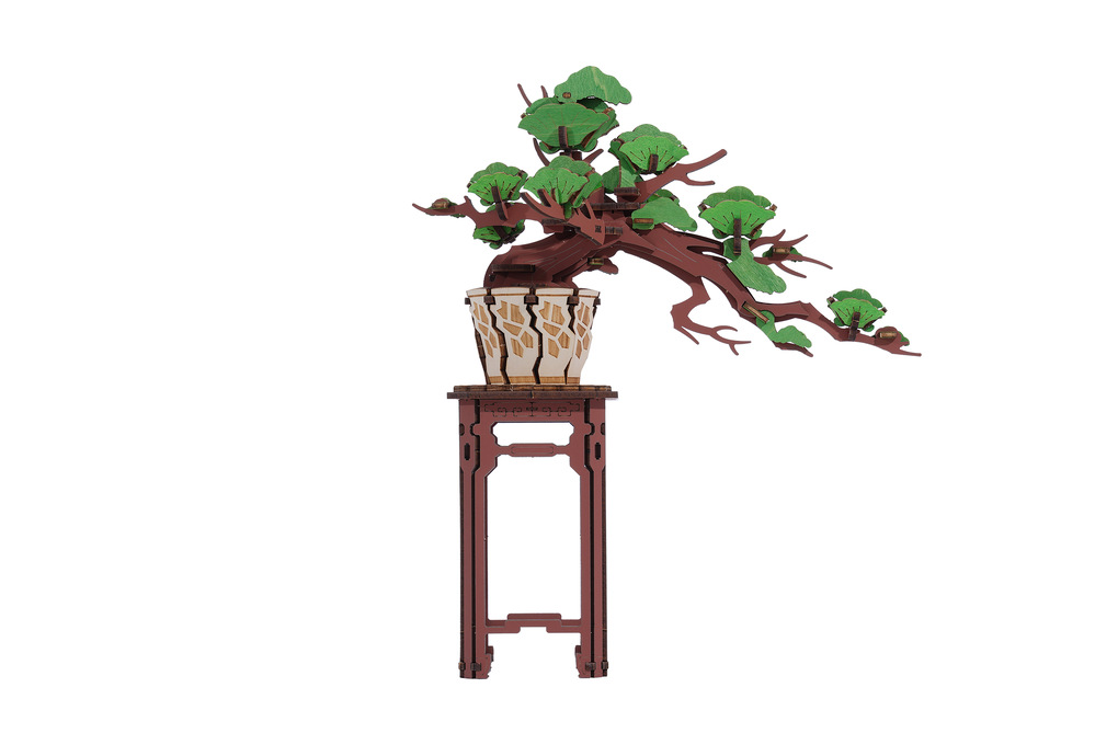 Evergreen Pine Bonsai