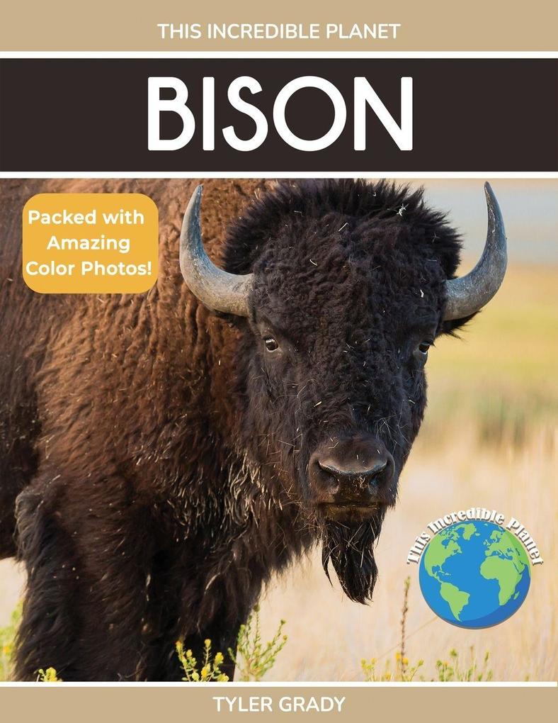 Bison