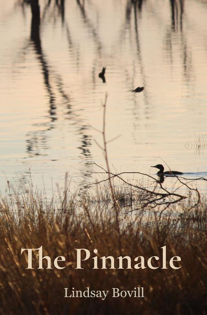 The Pinnacle