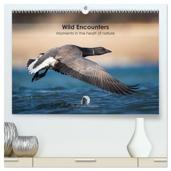 Wild encounters - Moments in the heart of nature (High Quality Premium Wall Calendar 2026 DIN A2 landscape)CALVENDO 12 Month Wall Calendar