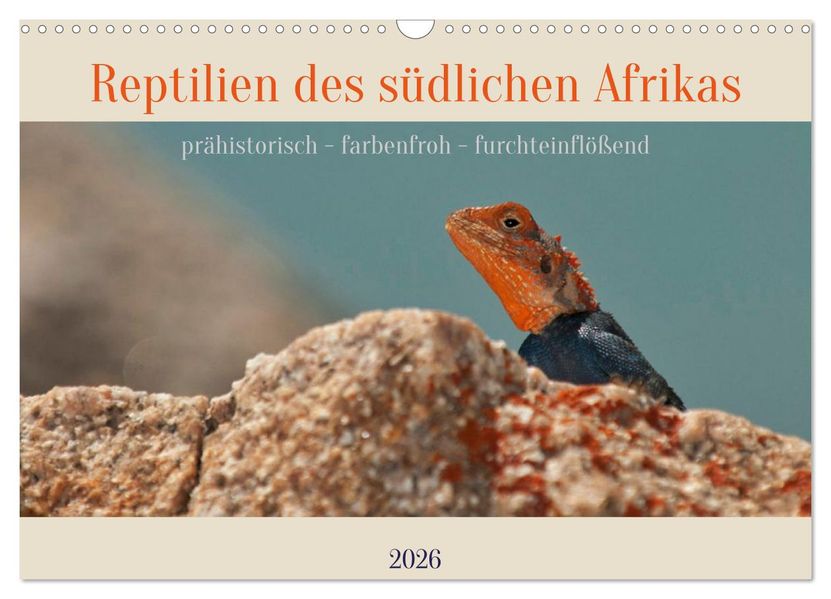 Reptilien des südlichen Afrikas (Wandkalender 2026 DIN A3 quer) CALVENDO Monatskalender
