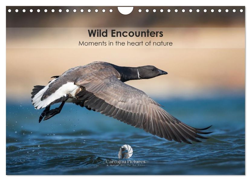 Wild encounters - Moments in the heart of nature (Wall Calendar 2026 DIN A4 landscape) CALVENDO 12 Month Wall Calendar