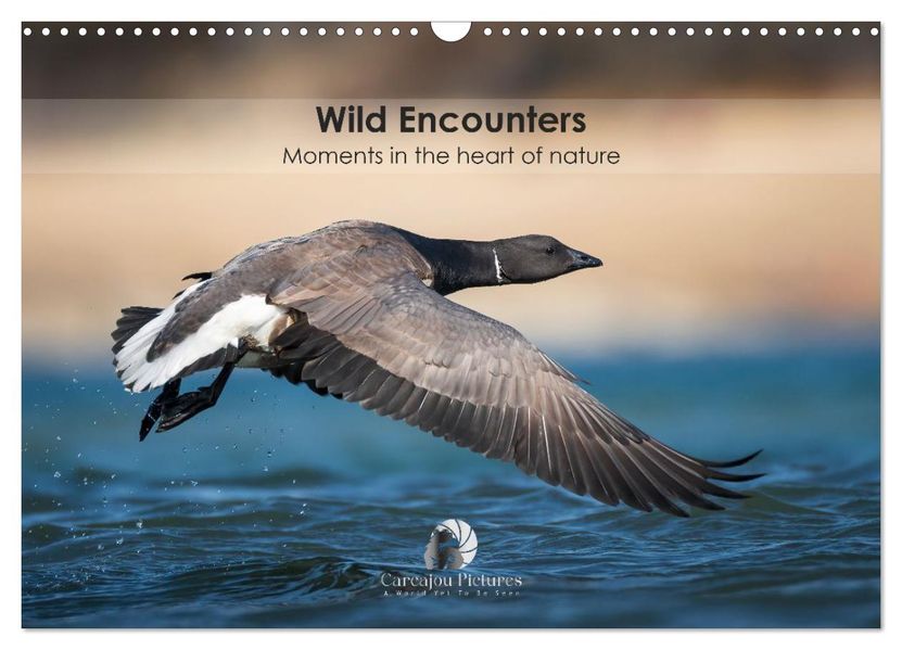 Wild encounters - Moments in the heart of nature (Wall Calendar 2026 DIN A3 landscape) CALVENDO 12 Month Wall Calendar