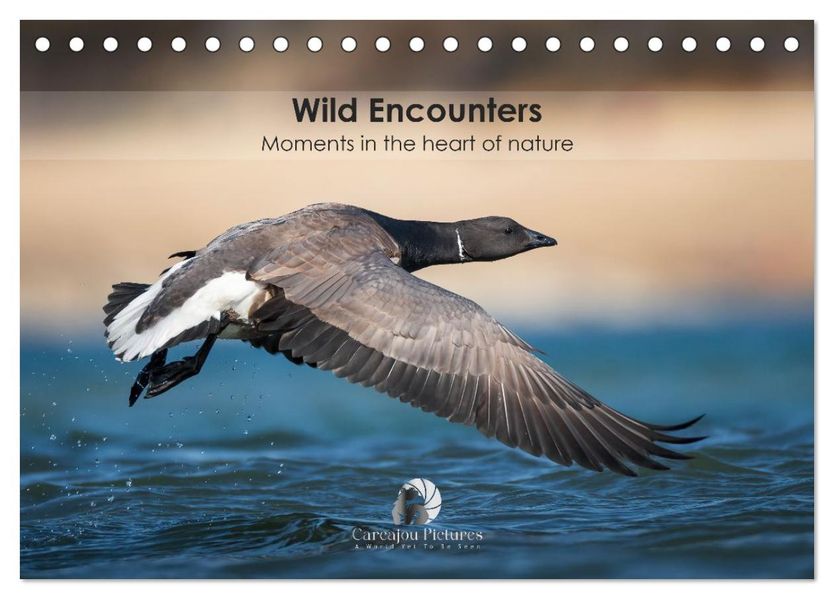 Wild encounters - Moments in the heart of nature (Desk Calendar 2026 DIN A5 landscape) CALVENDO 12 Month DeskCalendar