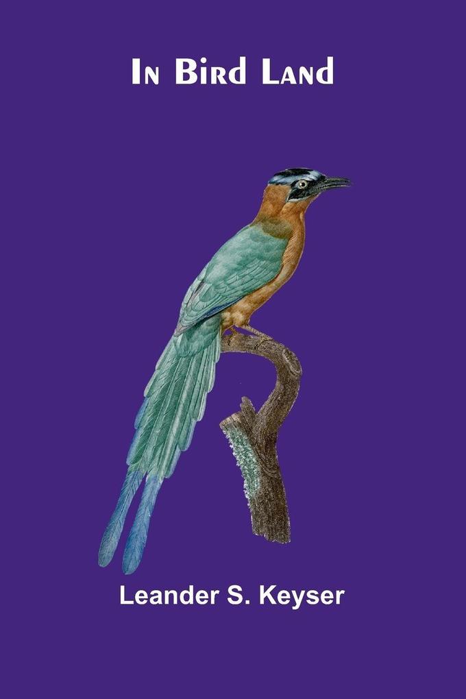 In Bird Land