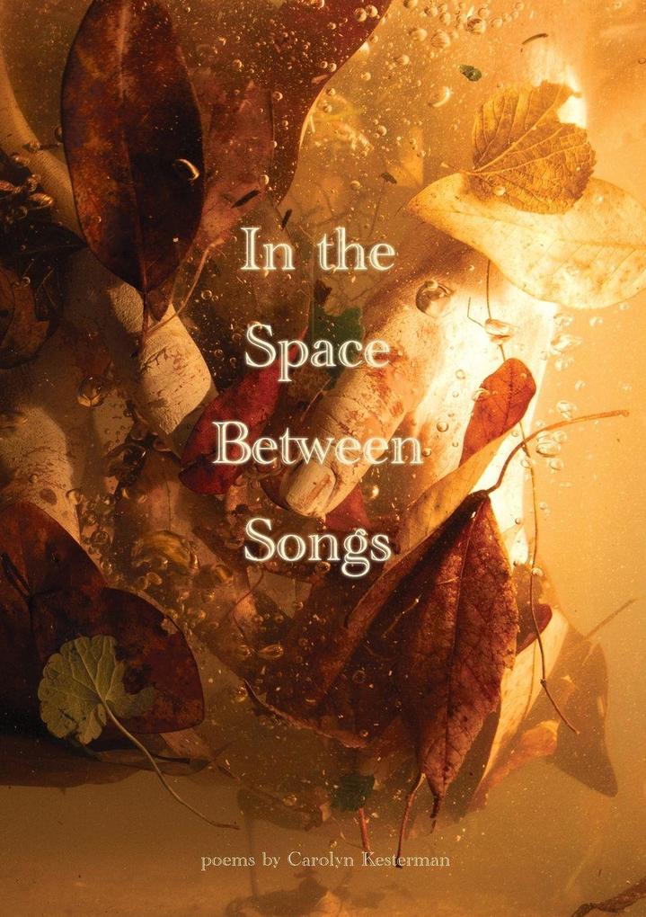 In the Space Between Songs