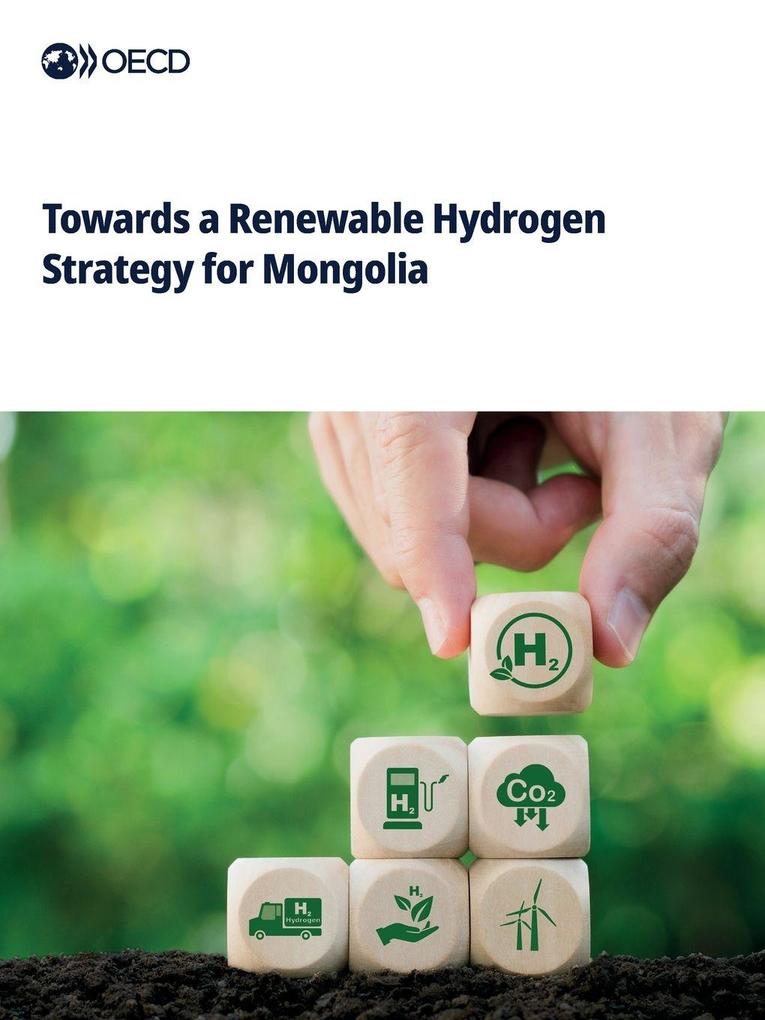 Towards a Renewable Hydrogen Strategy for Mongolia