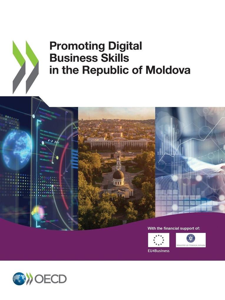 Promoting Digital Business Skills in the Republic of Moldova