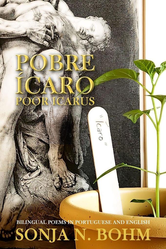 Pobre Ícaro / Poor Icarus