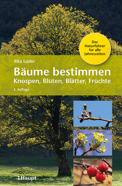Bäume bestimmen - Knospen Blüten Blätter Früchte