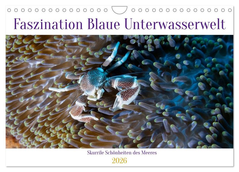 Faszination blaue Unterwasserwelt (Wandkalender 2026 DIN A4 quer) CALVENDO Monatskalender