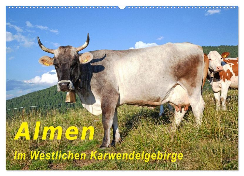 Almen im Westlichen Karwendelgebirge (Wandkalender 2026 DIN A2 quer) CALVENDO Monatskalender