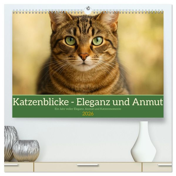 Katzenblicke - Eleganz und Anmut (hochwertiger Premium Wandkalender 2026 DIN A2 quer) Kunstdruck in Hochglanz
