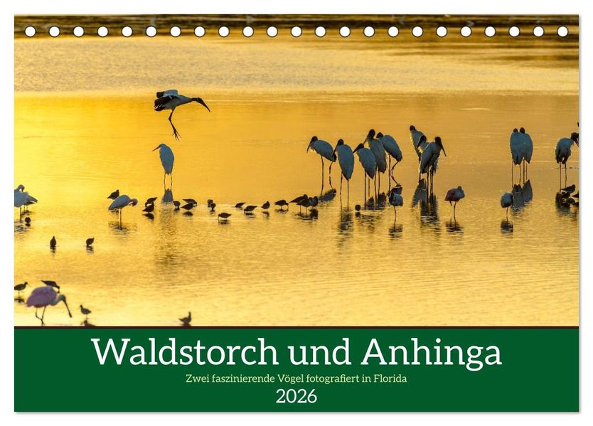 Waldstorch und Anhinga (Tischkalender 2026 DIN A5 quer) CALVENDO Monatskalender